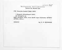 Image Associated With the Occurence